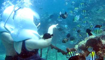 Seawalker Tanjung Benoa
