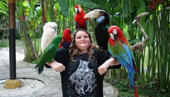 bali bird park