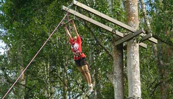 bali treetop