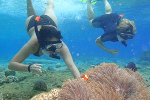 bali snorkeling