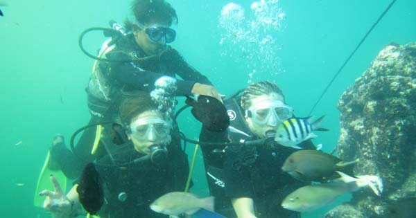 Intro Scuba Diving Tanjung Benoa Bali