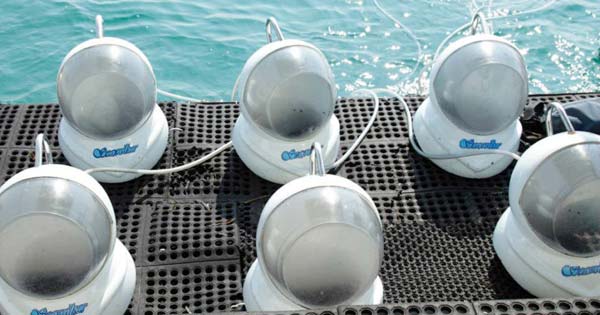 Helm Marine Walk