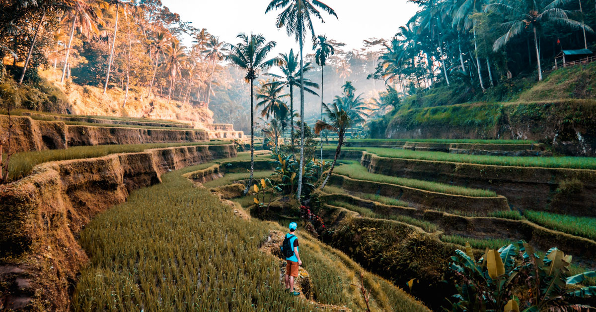 travel tips for bali indonesia