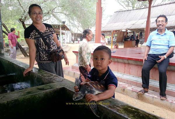 Liburan Ke Pulau Penyu Tanjung Benoa