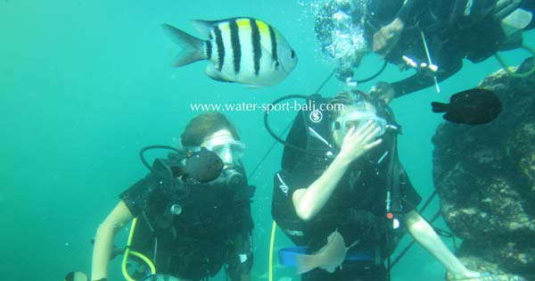 Introductory Scuba Diving - 10 Wahana Water Sports Favorit Wisatawan Indonesia