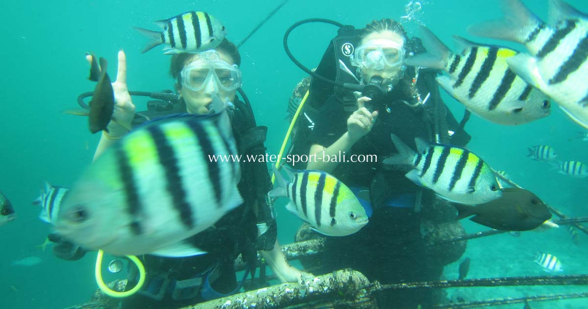 Tempat Diving Di Bali Untuk Pemula Favorit Wisatawan Indonesia