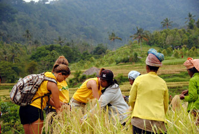 bali trekking tours