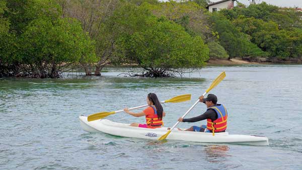 Aktivitas Kayaking Bali Barat