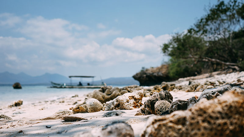 Pulau Menjangan Bali Barat