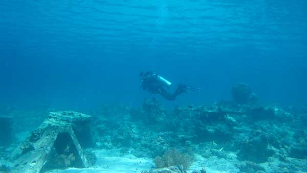 Scuba Diving Menjangan Island