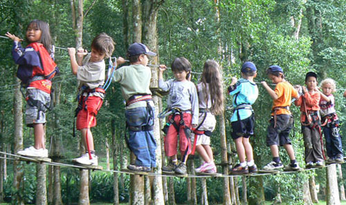 bali treetop 14