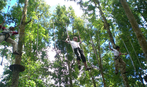 bali treetop 16