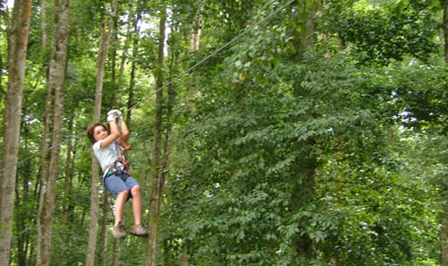 Aktivitas Wisata Di Kebun Raya Bedugul