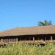 Bali Asli Restaurant