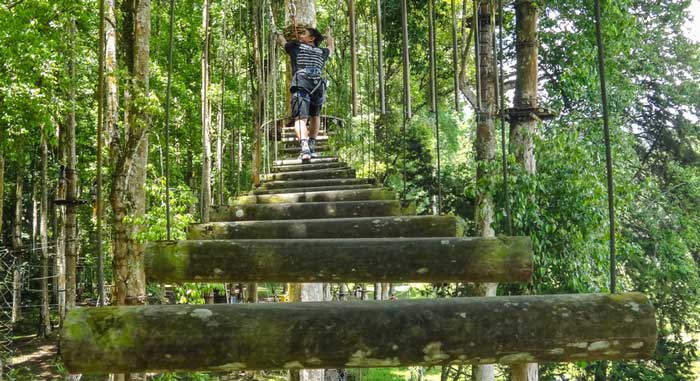Bali Treetop Adventure Park Bedugul