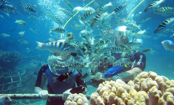Labuhan Amuk Seawalker Bali