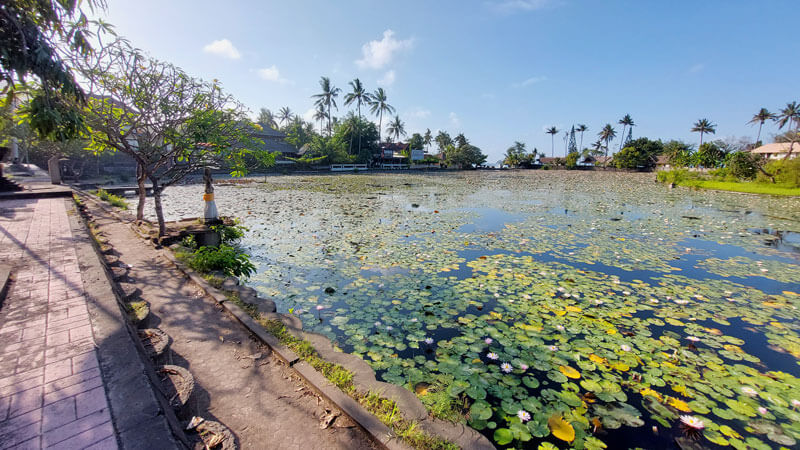 Lotus Lagoon Candidasa Aktivitas Wisata Gratis di Bali