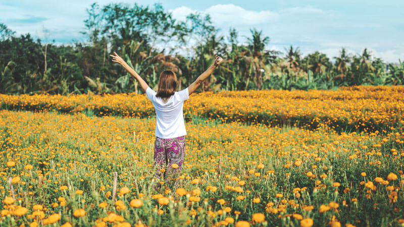 Taman Bunga Gemitir Tabanan Bali