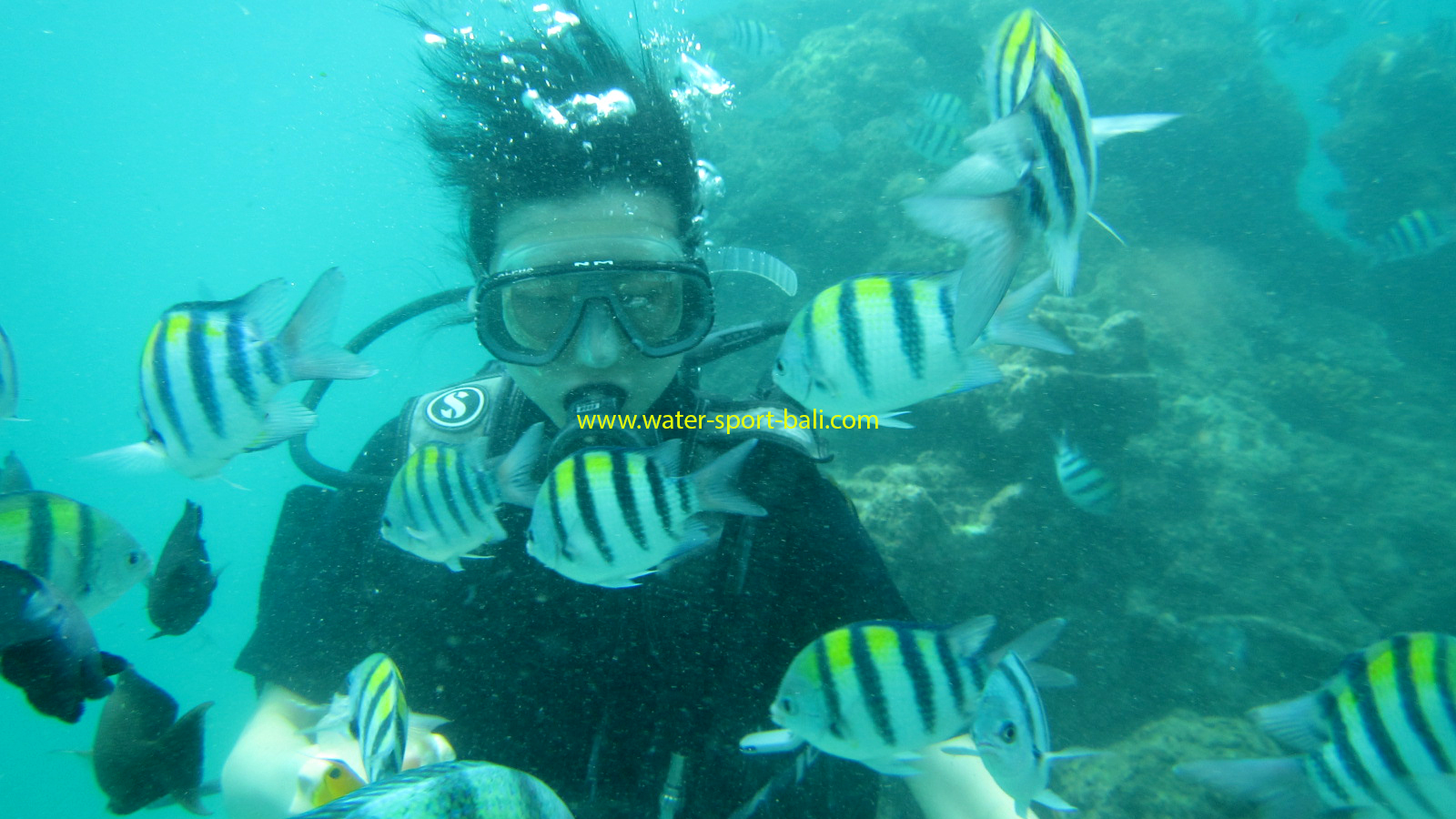 6 Hal Yang Harus Anda Ketahui Sebelum Menyelam Di Bali Untuk Pemula