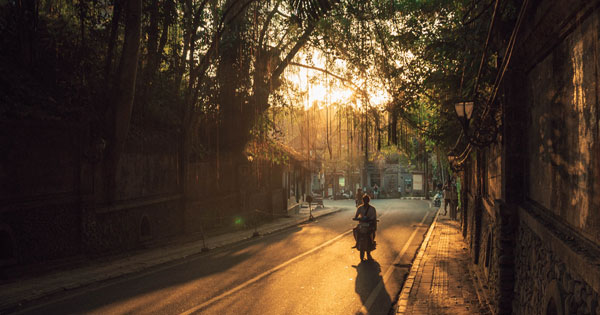 Wisatawan mengendarai sepeda motor di jalan raya Ubud