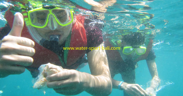 Tanjung Benoa Snorkeling Di Pulau Bali