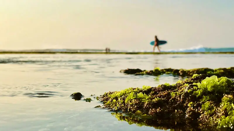 Peselancar di Pantai Suluban Uluwatu Bali dengan pemandangan laut dan batu karang