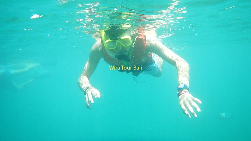 Pengunjung snorkeling dengan pelampung di perairan jernih Tanjung Benoa, Bali, cocok untuk segala usia dan non-perenang.