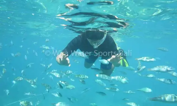 Snorkeling di Labuhan Amuk, Karangasem