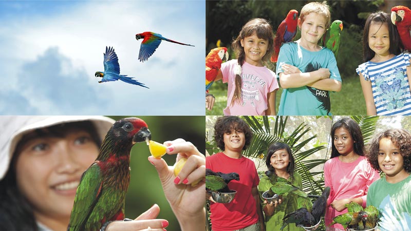 Berbagai spesies burung di Bali Bird Park