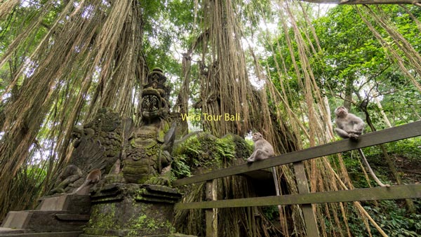 Ubud Monkey Forest