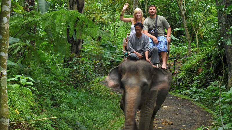 Mason Elephant Safari Park Lodge Bali