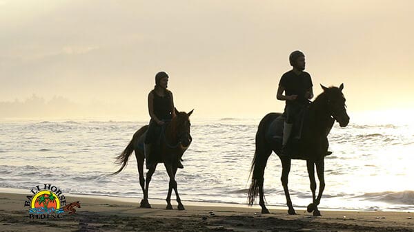 Pantai Saba Bali Horse Riding