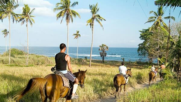 Pilihan Lokasi Aktivitas Bali Horse Riding