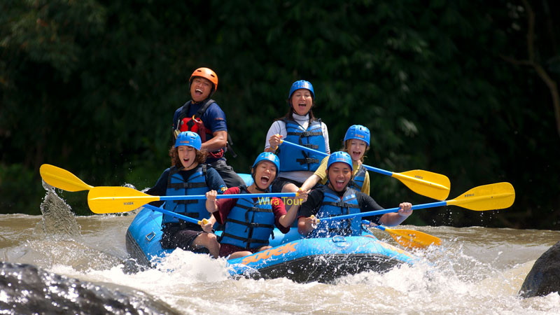 Keluarga dan pemula bersorak ceria saat rafting di Sungai Ayung, Bali, dengan jeram kelas II-III.