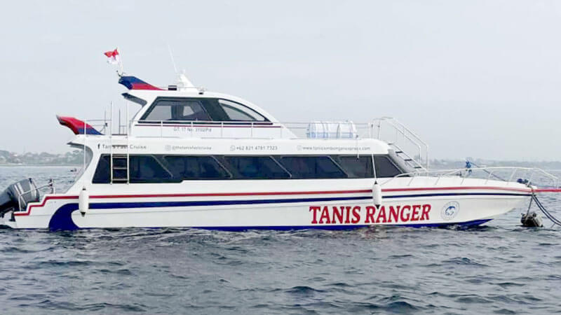  Tanis Ranger