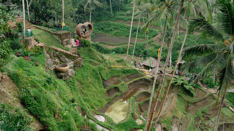 Pemandangan Alam Indah Di Bali