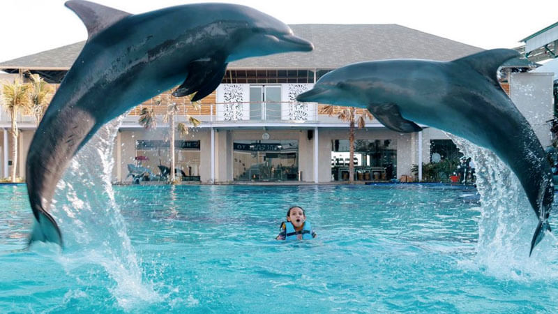 Anak terpukau melihat dua lumba-lumba melompat di Bali Dolphin Marine Park