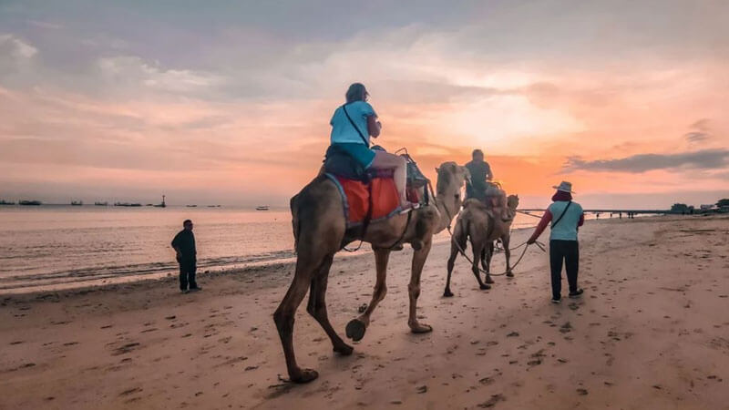 Menunggang unta saat matahari terbenam di Pantai Kelan, Aktivitas Liburan Seru di Bali.