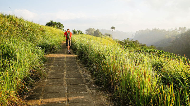 Pemandangan indah di jalur Campuhan Ridge Walk, Ubud.