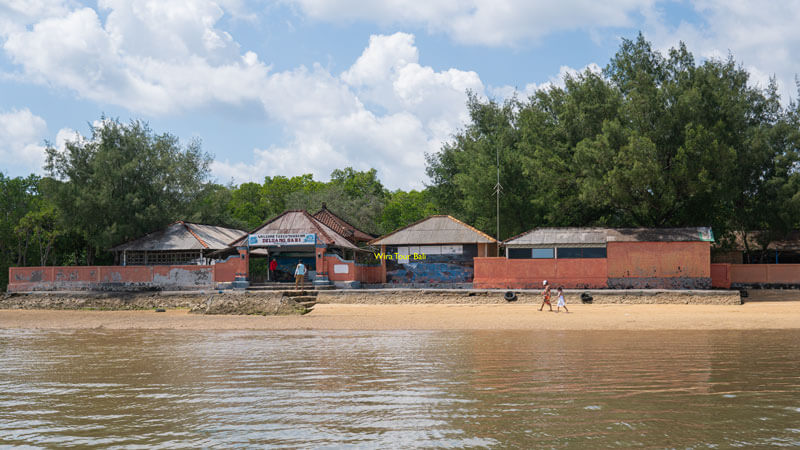 Tempat Penangkaran Penyu Hijau di Tanjung Benoa