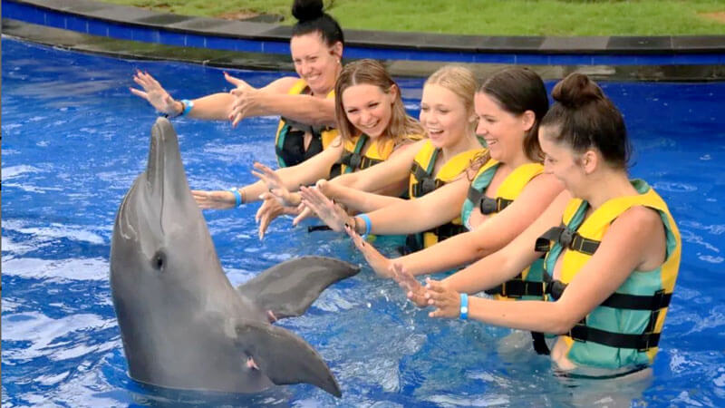 Pengalaman premium Program Discovery+ di Bali Dolphin Marine Park