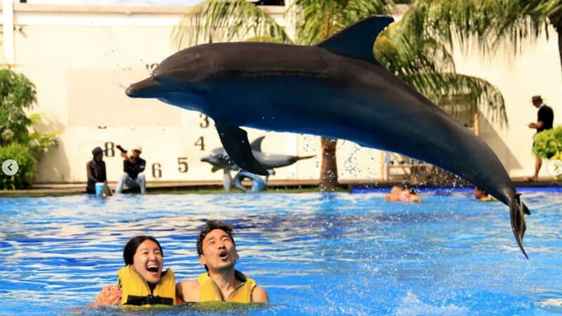 Program Discovery 40 Menit Bali Dolphin Marine Park