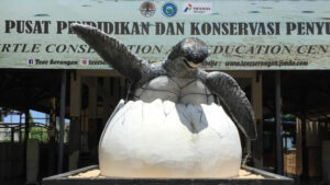 Pusat Pendidikan dan Konservasi Penyu Serangan