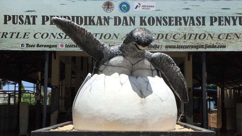 Pusat Pendidikan dan Konservasi Penyu Serangan