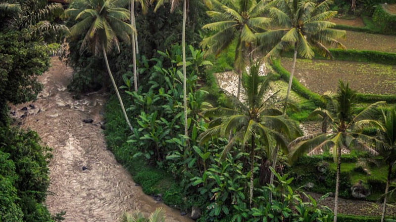 Pemandangan indah Sungai Ayung di Ubud, Bali