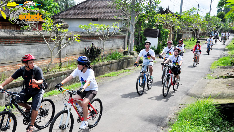 Wisatawan bersepeda di pedesaan Ubud bersama pemandu Sobek Adventure