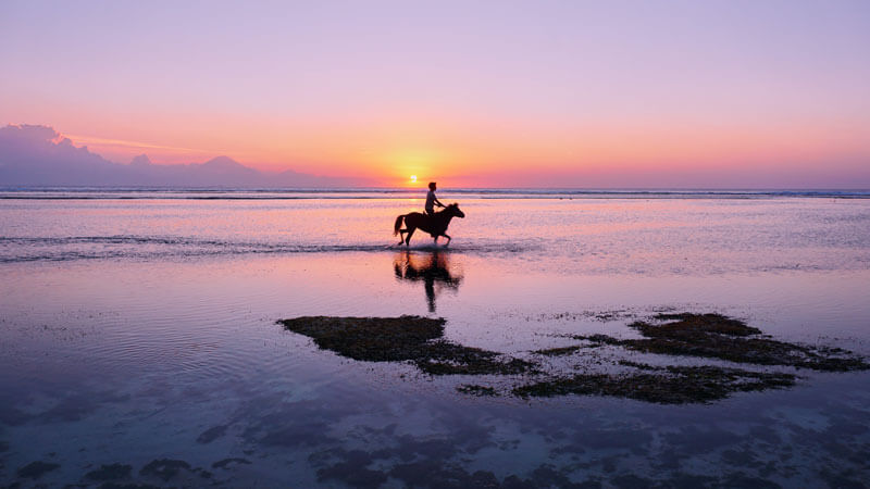 Berkuda di pantai Gili Trawangan saat matahari terbenam dengan latar belakang langit merah muda dan ungu.