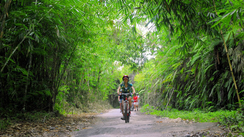 Seorang peserta tur bersepeda di Bali menikmati jalan setapak di tengah hutan bambu