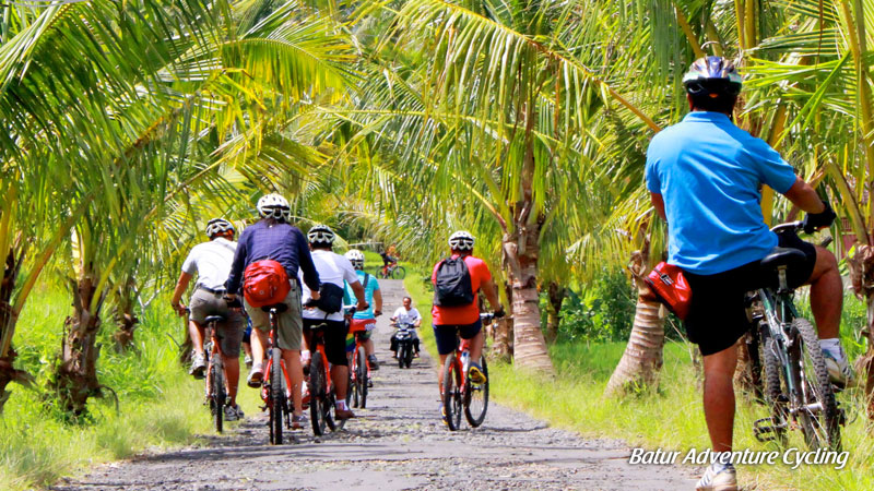 Sekelompok pesepeda melewati jalur tenang yang ditumbuhi pohon kelapa.