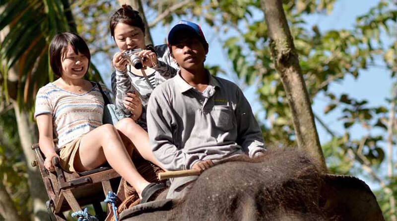 Wisatawan menikmati safari gajah di Bali Elephant Park Bakas.